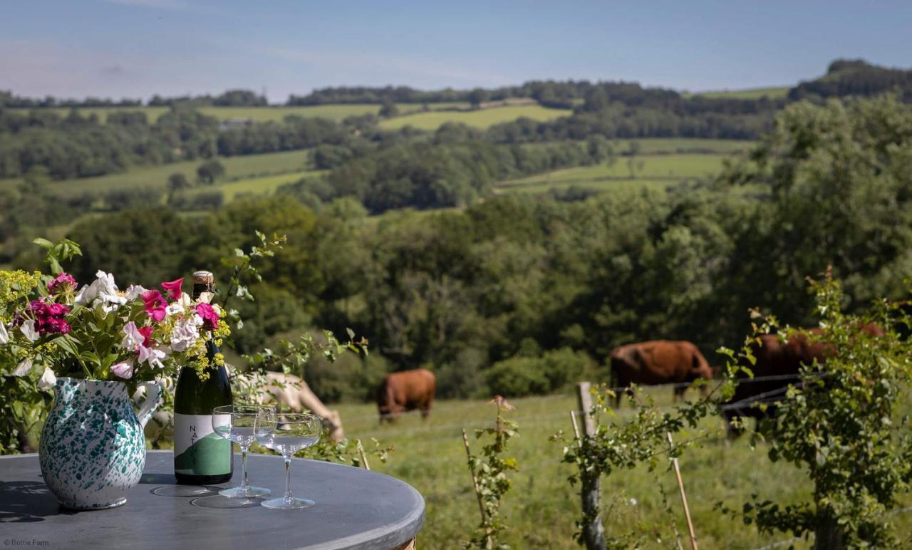 Horseshoe Barn Axminster Εξωτερικό φωτογραφία